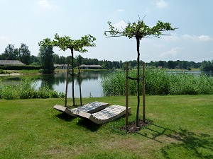 ligstoelen bij chalet 236