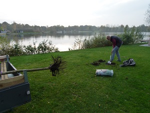 Graven voor het planten van platanen bij chalet 236