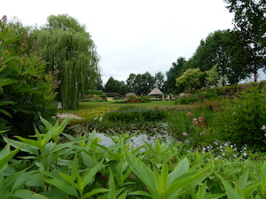 tuindeweide