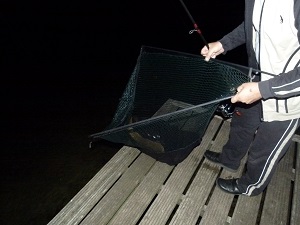vis gevangen in het donker bij chalet 222