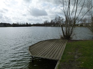 vlonder na het snoeien van de boom.