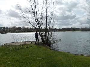 vlonder voor het snoeien van de boom.
