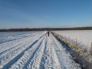 wandelen in de mooie winternatuur